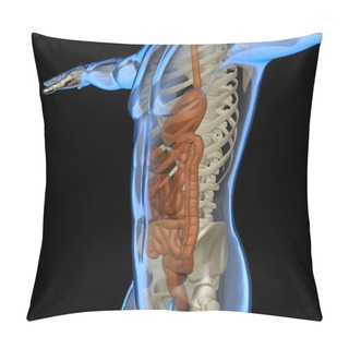 Personality  Human Body With Intestine And Skeleton Pillow Covers