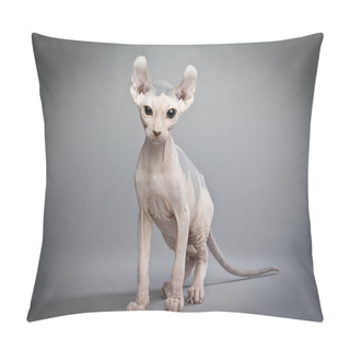 Personality  Elf Cat Pillow Covers