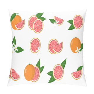 Personality  Set Of Illustrations With Grapefruit Exotic Citrus Fruits, Flowers And Leaves Isolated On A White Background. Isolated Vector Icons Set. Pillow Covers