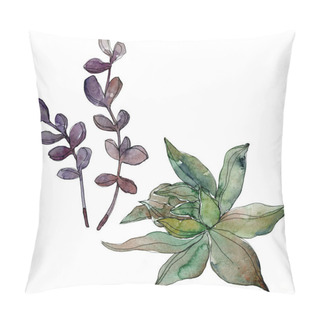 Personality  Exotic Tropical Hawaiian Botanical Succulents. Watercolor Background Illustration Set. Isolated Succulents Illustration Elements. Pillow Covers