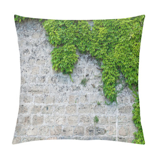 Personality  Stone Wall With Partial Planting  Pillow Covers