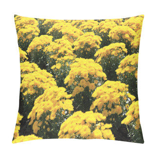 Personality  Yellow Chrysanthemum Flowers Pillow Covers