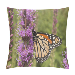 Personality  Prairie Blazing Star Wildflower Provides Nectar For A Migrating Butterfly Pillow Covers