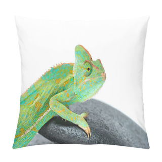 Personality  Close-up View Of Cute Colorful Chameleon On Stones Isolated On White Pillow Covers