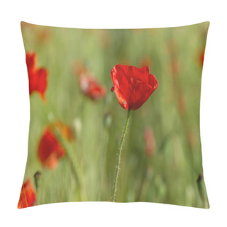 Personality  Wild Red Poppy Flowers Blooming In Spring  Pillow Covers