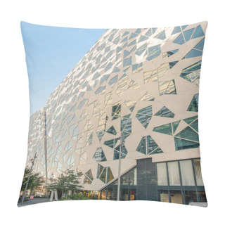 Personality  Reflecting Pillow Covers