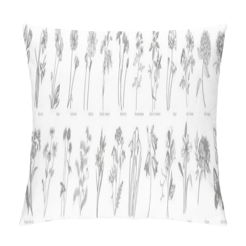 Personality  Collection of hand drawn flowers and herbs. Botanical plant illustration. Vintage medicinal herbs sketch set of ink hand drawn medical herbs and plants sketch pillow covers
