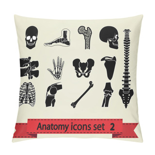 Personality  Anatomy Icons Set 2 Pillow Covers