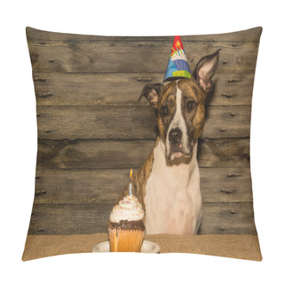 Personality  Cute Birthday Dog Pillow Covers