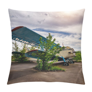 Personality  Abandoned Planes Old An-2 In The Open Air.  Pillow Covers