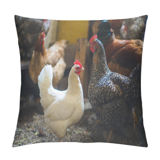 Personality  Chickens In The Coop Pillow Covers