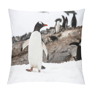 Personality  One Gentoo Penguin Or Pygoscellis Papua Penguin Is Looking On The Left Side In Antarctica. Photo Is Made In The Front.  Pillow Covers