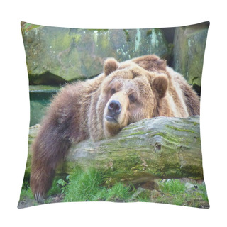 Personality   Grizzly Bear Laying Among Rocks Pillow Covers