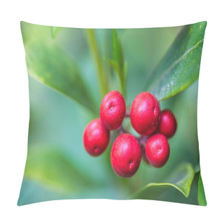Personality  Daphne Mezereum, Also Known As  Spurge Olive, Plant In Close-up View On A Blurred Background. Pillow Covers