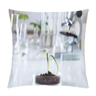 Personality  Green Plants In Biology Laborotary Pillow Covers