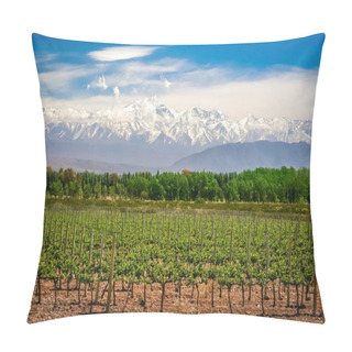 Personality  Vineyard Near Mendoza Pillow Covers