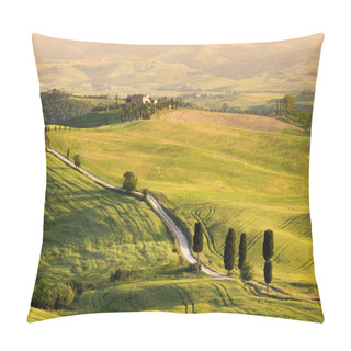 Personality  Cypress Trees Along Gladiator Road Strada Bianca In Tuscany Pillow Covers