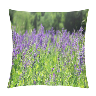 Personality  Wild Purple Flowers Pillow Covers
