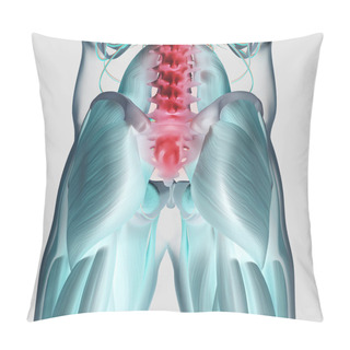 Personality Human Spine And Pelvis Anatomy Model Pillow Covers