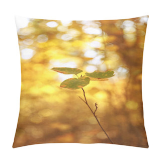 Personality  Selective Focus Of Trees With Yellow And Green Leaves In Autumnal Park At Day  Pillow Covers