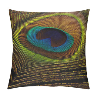 Personality  Peacock Feather On Black Background Macro Closeup Pillow Covers