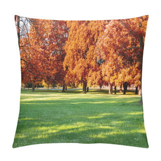 Personality  Colorful Foliage In The Autumn Park Pillow Covers