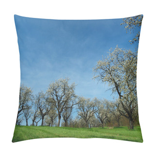 Personality  Blossoming Trees In Spring In Rural Scenery With Deep Blue Sky Pillow Covers