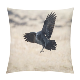 Personality  Hooded Crow (Corvus Cornix) Pillow Covers