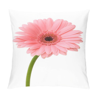 Personality  Pink Daisy Flower Pillow Covers