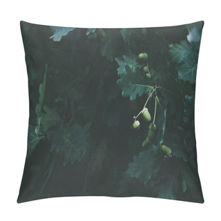 Personality  Close-up Shot Of Green Oak Branches With Acorns Pillow Covers