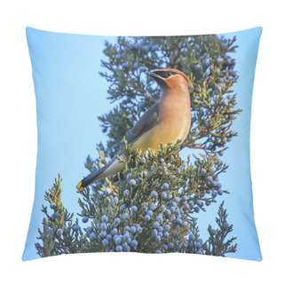 Personality  Cedar Waxwing In A Tree Eating Juniper Berries Pillow Covers