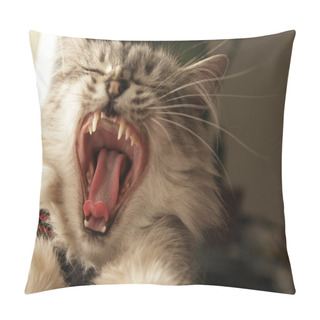 Personality  Cat Roars Pillow Covers