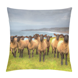 Personality  Suffolk Sheep Breed Black Faces Pillow Covers