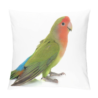 Personality  Peach Faced Lovebird Pillow Covers