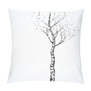 Personality  Birch. Vector Drawing Pillow Covers