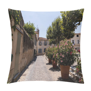 Personality  Beautiful Cozy Narrow Street With Traditional Houses, Green Trees And Blooming Flowers In Pots, Provence, France Pillow Covers