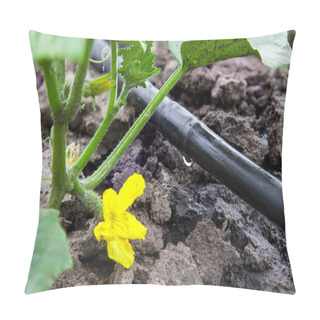 Personality  Drip Irrigation System Pillow Covers