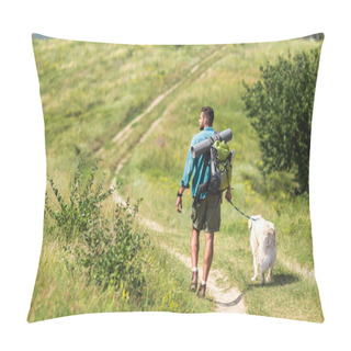 Personality  Rear View Of Traveler Walking With Dog On Path On Summer Meadow Pillow Covers