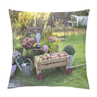 Personality  Country Garden With Fresh Harvested Apples Pillow Covers