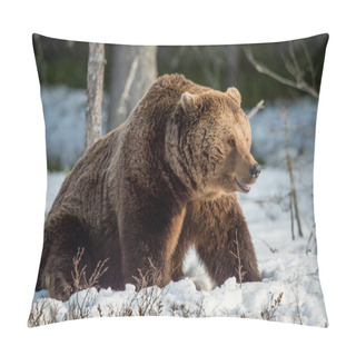 Personality  Brown Bear On Snow-covered Swamp Pillow Covers
