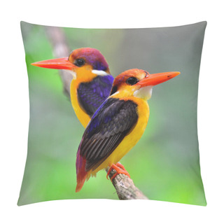 Personality  Closeup Of Black-backed Kingfisher Perching Together On The Branch With Clear Green Background, Black Back Kingfisher, Bird Pillow Covers