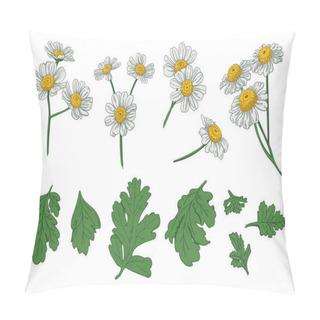 Personality  Set Of Individual Flowers Of Daisies And Leaves Pillow Covers