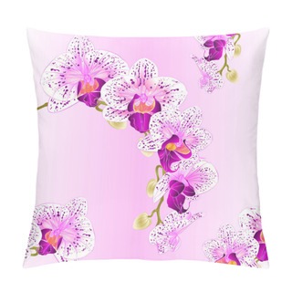 Personality  Seamless Texture Beautiful Orchid Phalaenopsis  Purple And White Stem With Flowers And  Buds   Vintage  Vector Closeup Editable Illustration  Pillow Covers