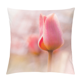 Personality  Pink Tulips Pillow Covers