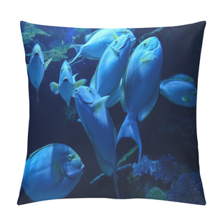 Personality  Yellowfin Surgeonfish / Group Of Yellow Fin Surgeon Fish Swimming Marine Life Underwater Ocean In The School Fish  Pillow Covers