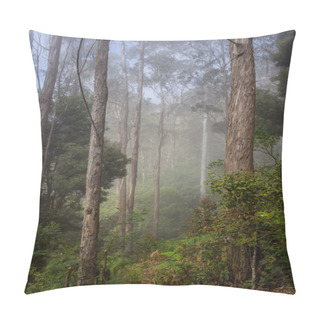 Personality  Road Through A Golden Forest With Fog Pillow Covers