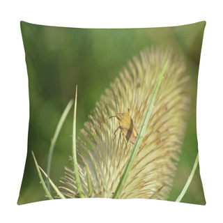 Personality Small Bug On Flower Pillow Covers