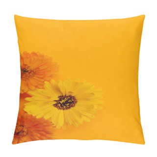 Personality  Calendula Flowers Background Pillow Covers