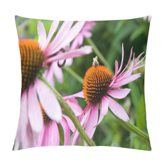 Personality  Purple Cone Flower Pillow Covers