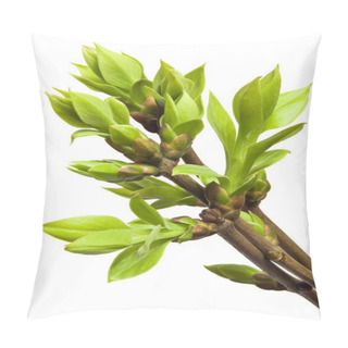 Personality  Vegetation Pillow Covers